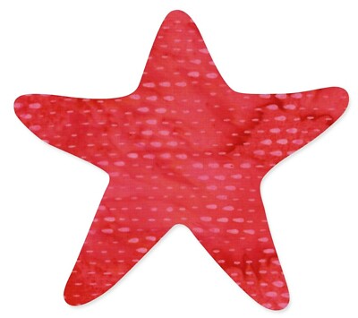 New Retired Sizzix Bigz Starfish #2 die #660919 Retail $19.99