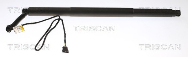 Triscan Heckklappen DäMpfer Gasfeder Kofferraum 8710 11311 FüR Bmw X4 F26 Xdrive-image