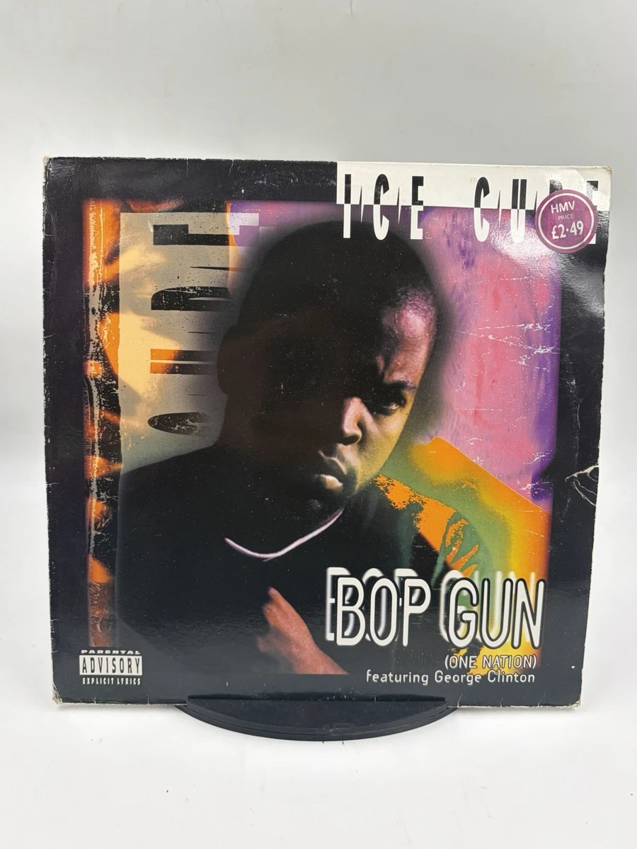 Ice Cube Rap & Hip-Hop Very Good (VG) Sleeve Vinyl Records for