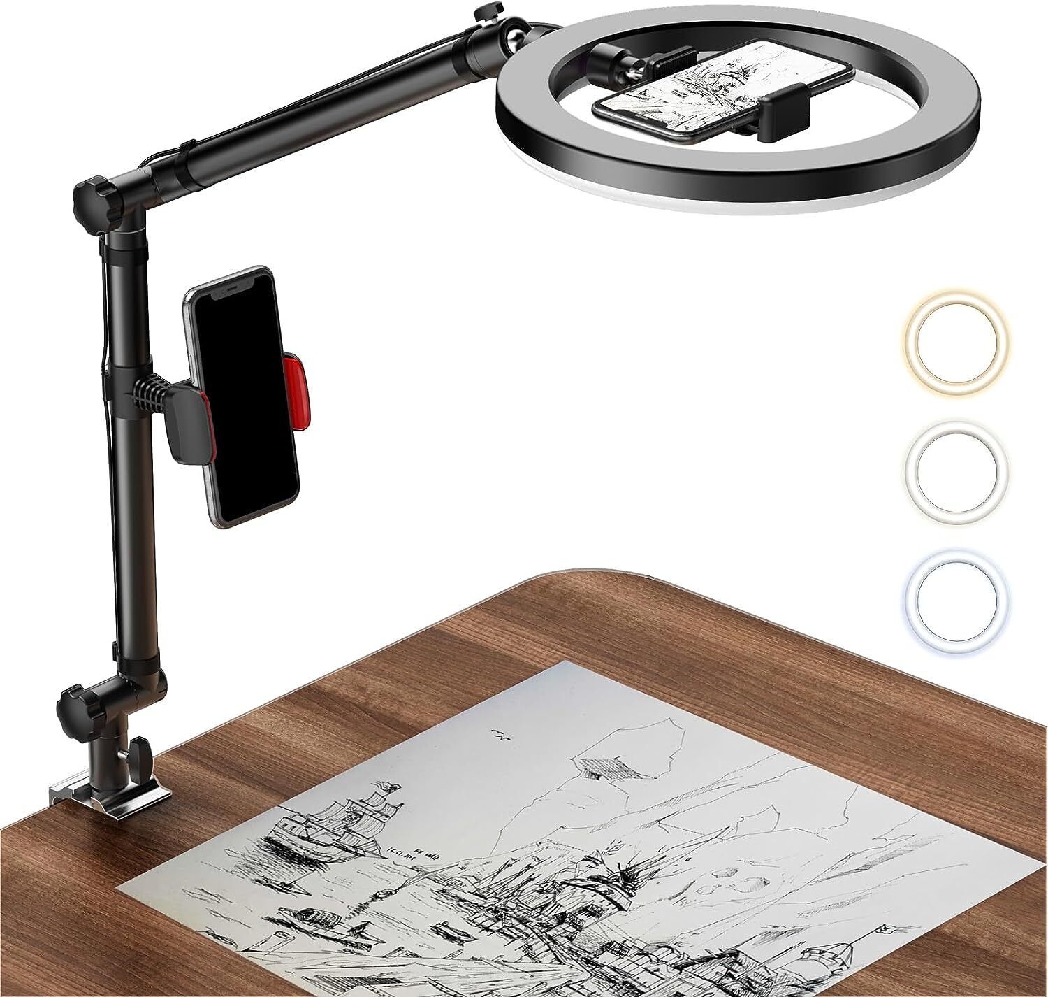 Ring Light with Stand and Phone Holder USB 10'' Ring Light for Desk Overhead-image