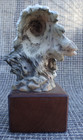 BALD EAGLE DESK SIZE SCULPTURE FROM PHEASANTS FOREVER — photo 9