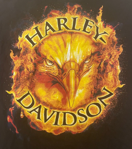 Harley-Davidson Motor Cycles Motorrad Matthies Shirt Größe M - Bild 2 von 10