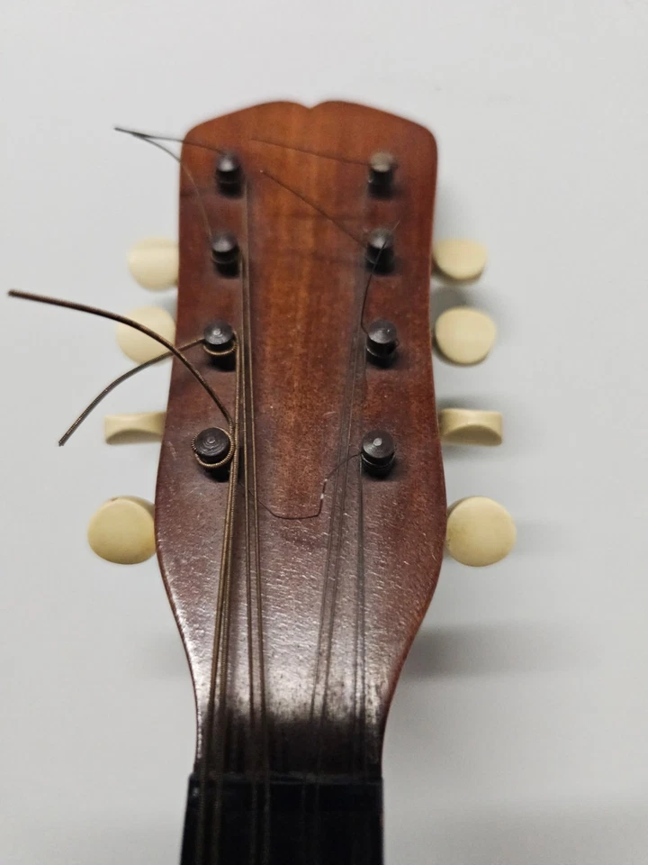 Mandolina trasera Regent Bowl de Vega Company Foto 3 de 4