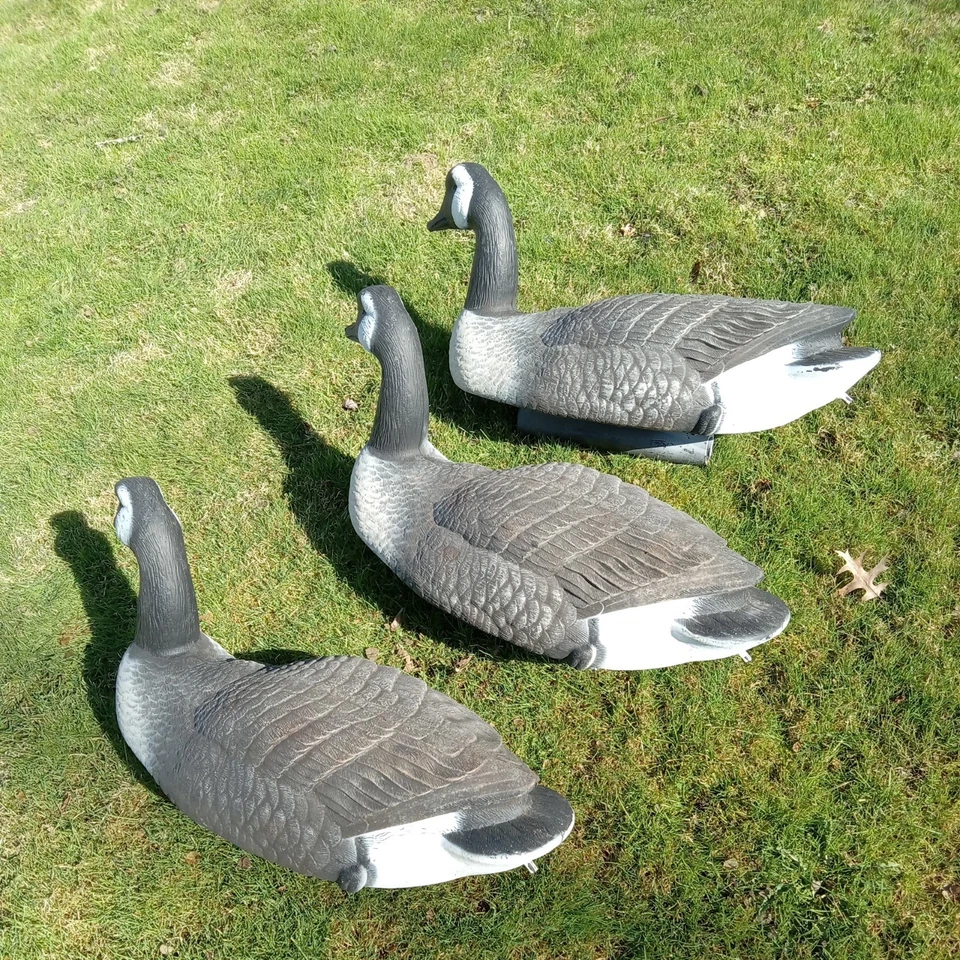 Señuelo de agua flotante Flambeau grande detallado 25" de caza de gansos canadienses   Foto 3 de 4