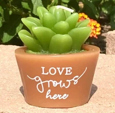 Succulent Candle Love Grows Here Home Collectible Decor Collectible Art 3"