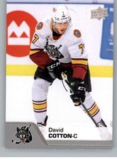 2020-21 Upper Deck AHL Hockey Cards (Base or Short Prints) Pick From List