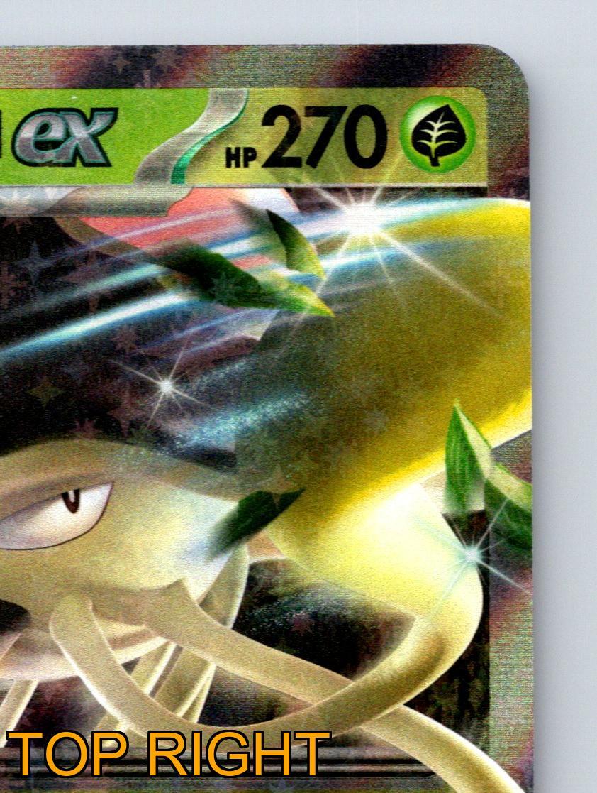 Stage 1 Toedscruel EX HP 270 Protective Mycelium Colony Rush