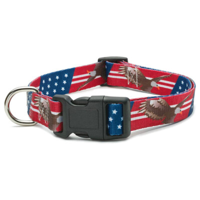 NEW American Flag Bald Eagle Dog Collar sz L 1'' wide adjustable 16-26'' long
