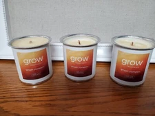 Lot Of 3 GROW Plant Based Soy Candle Fall Fragrance Ginger Pumpkin 45-50 Hour