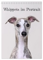 Whippets Im Portrait (Tischkalender 2027 DIN A5 Hoch), Calvendo Monatskalender
