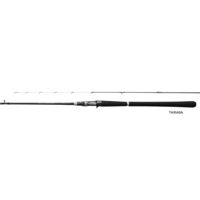 Shimano SALTY ADVANCE TAIRABA-B69ML-S Spinning Rod | eBay