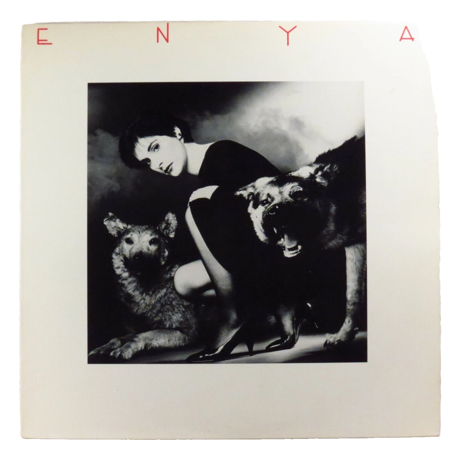 Enya Rock Vinyl Records