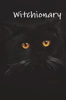 Patricia Della-Piana | Witchionary | Taschenbuch | Englisch (2018) | [.]