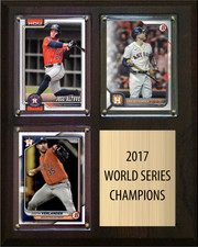 2017 Houston Astros World Series Champions Memorabilia Guide 29