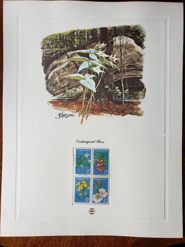 Scott 1783-86 Endangered Flora Commemorative Print and Stamp Collector Panel-MNH - Picture 1 of 2