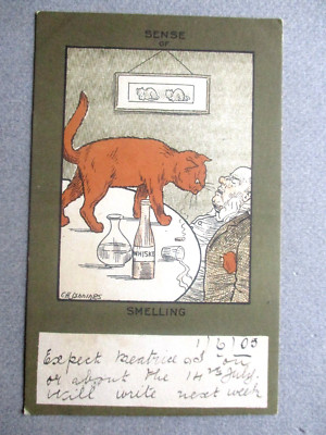 POSTKARTE Comic Ginger Cat & Drunk Man C H Jennings Künstler Geruchssinn 1905