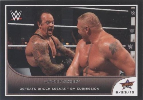 WWE Wrestlemania 23 VIP Chair Donald Trump, the Undertaker, Stone
