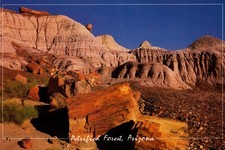 Postcard Petrified Forest National Park Arizona Dick Dietrich Made in USA photo