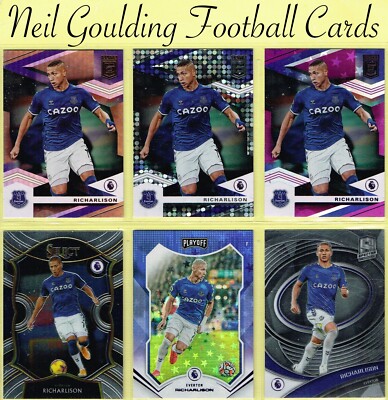 Panini Chronicles   Everton   Fußballkarten