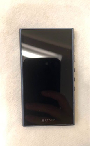 Lecteur Audio Sony NW-A105 Walkman Noir 16 Go Bluetooth USB-C Testé Fonctionnel