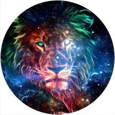 Slipmat Scratch Pad Felt for any 12" Turntable LP DJ Record Player LION GALAXY