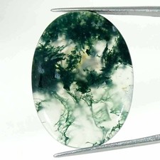 34.30Cts Natural Green Moss Agate Oval Cabochon Loose Gemstone 24x33x5mm