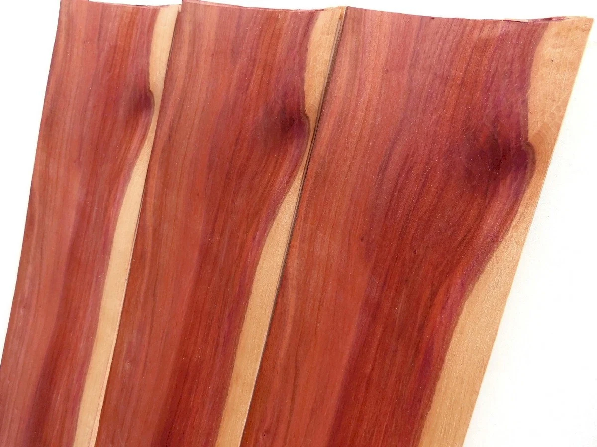 24 hojas CIRUELA CIRUELA chapa chapa de madera auténtica hoja construcción de muebles estante madera noble