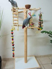 FREISITZ aus ROTBUCHENHOLZ, Papageienspielzeug, mittlere Papageien, Höhe 130 cm