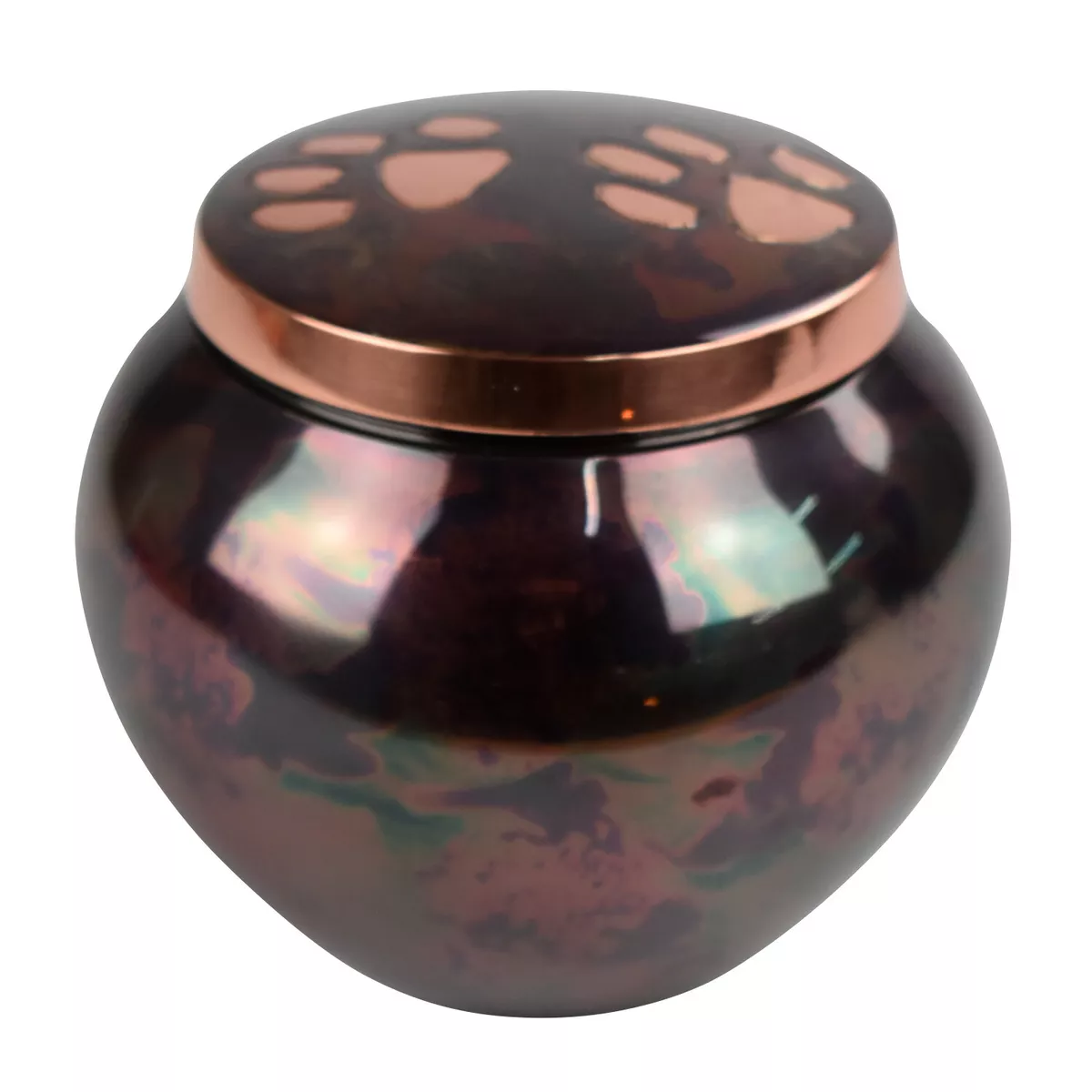 Storing top pet ashes