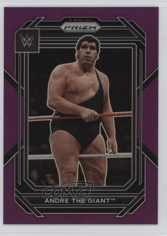 2023 Panini Prizm WWE Purple Prizm 139/149 Andre the Giant #159 1h0p