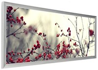 Displays2go Pnfa40135s Pano Photo Frame For Panoramic Pictures, 40 X 13.5, New, on sale Displays2go Pnfa40135s Pano Photo Frame For Panoramic Pictures, 40 X 13.5, New, on sale