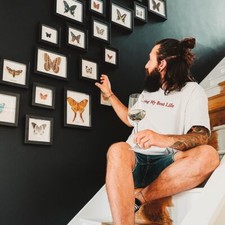 Taxidermy Minibeast Club (Monthly Frame Subscription)