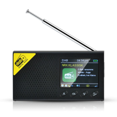 Portable Digital Radio Bluetooth-compatible DAB/FM Receiver Broadcasting Player
