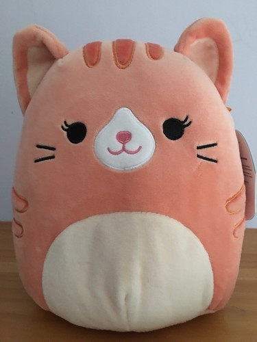 cat squishmallow orange