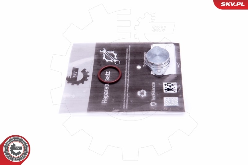 ESEN SKV 49SKV572 Repair Kit, intake manifold module