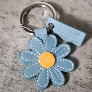 Coach Daisy Keychain | eBay display picture 1