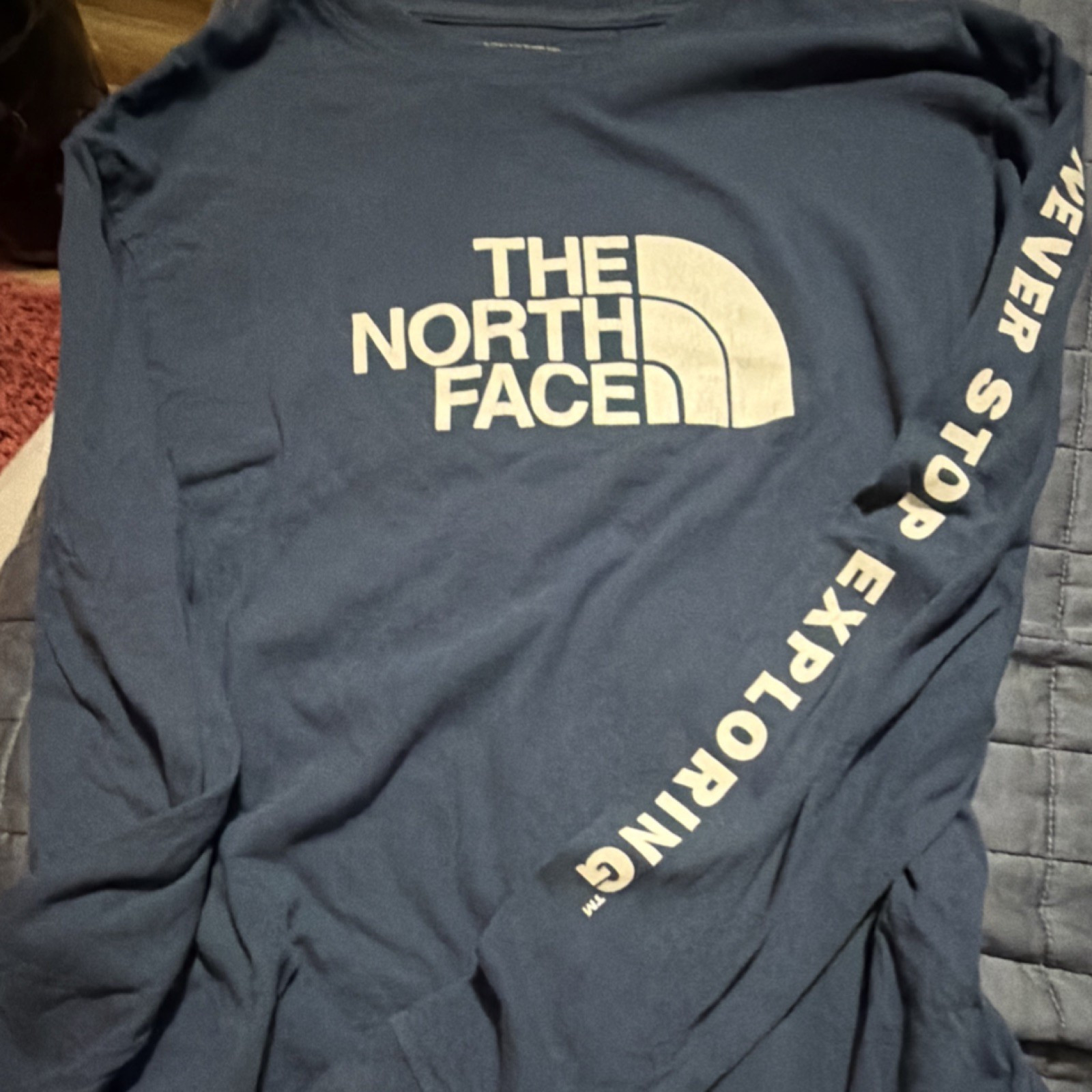 The North Face Men's L Blue Cotton Knit Crew Neck Long Sleeve Graphic Logo Tee