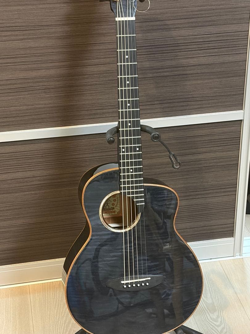 ギター anuenue Bird Guitar Bird M77E Anuenue Bird Guitar M77E No.MG3058 | eBay