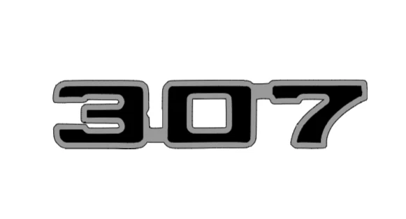 Par - 2 Colores 307 Calcomanía Emblema 5.0L V8 GM Chevy GMC Pontiac Oldsmobile Foto 4 de 4