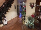 Picture 23 of 24