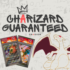 Pokémon graded cards ( Charizard guaranteed ) V - VMax - EX - Arkezon or PSA
