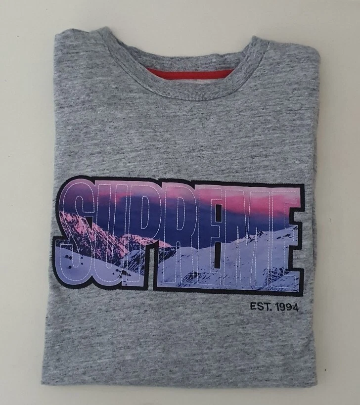 FW15 Supreme Summit T Shirt À Manches Longues Gris Mélangé M Moyen Montagnes