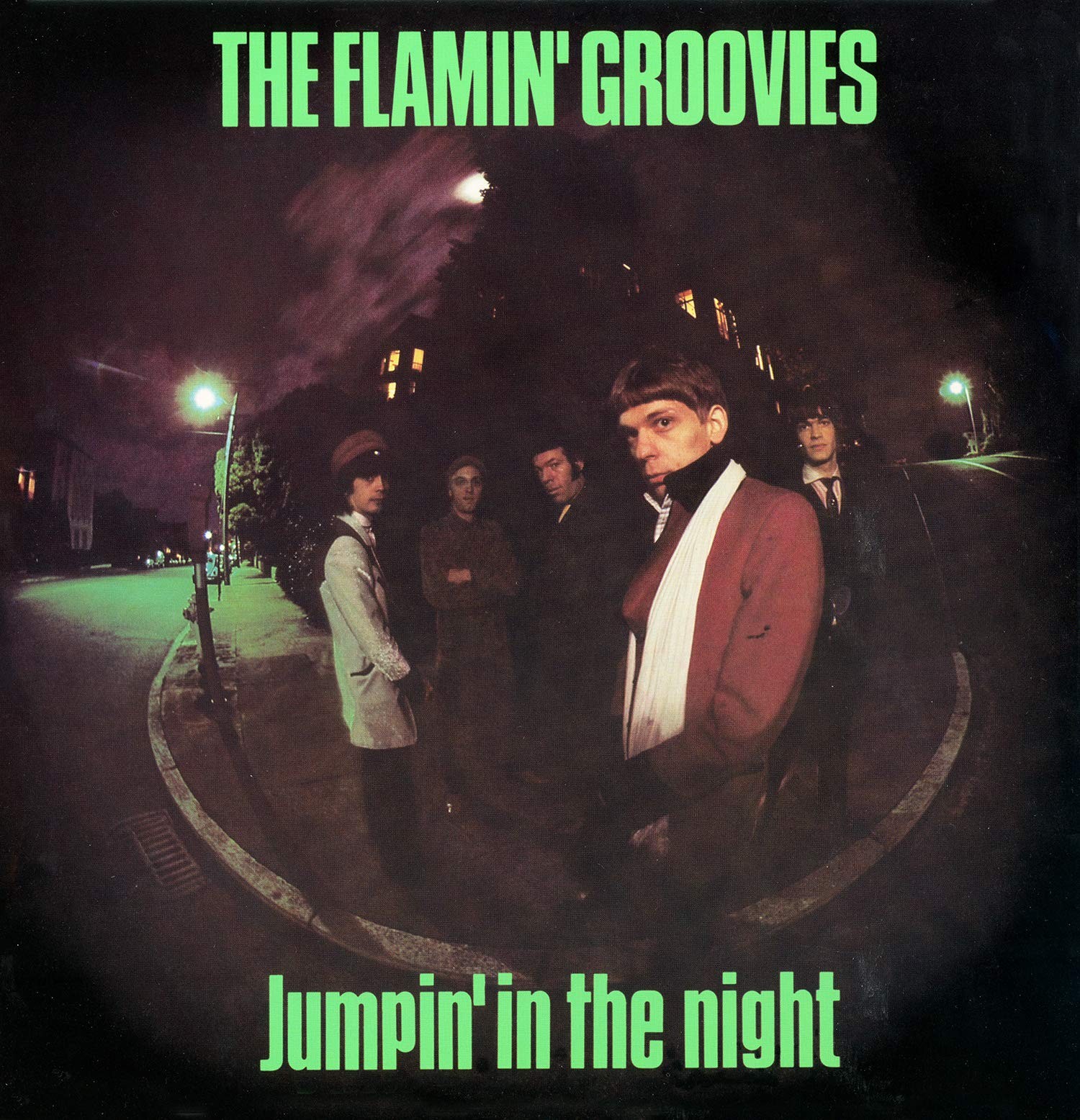 Flamin' Groovies Jumpin' In The Night (Vinyl LP)