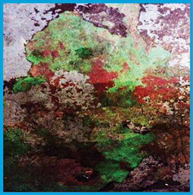 LST Th Duo (Vinyl) 12'' Album (UK IMPORT)