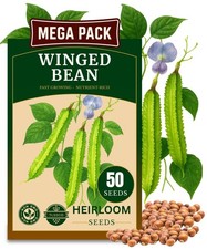 50 USA Premium Winged Bean Seeds for Planting, Non-GMO Seeds   High-Yield, N...