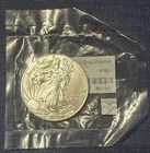 2015 American Silver Eagle 1 oz .999 Silver Uncirculated Littleton Coin Co