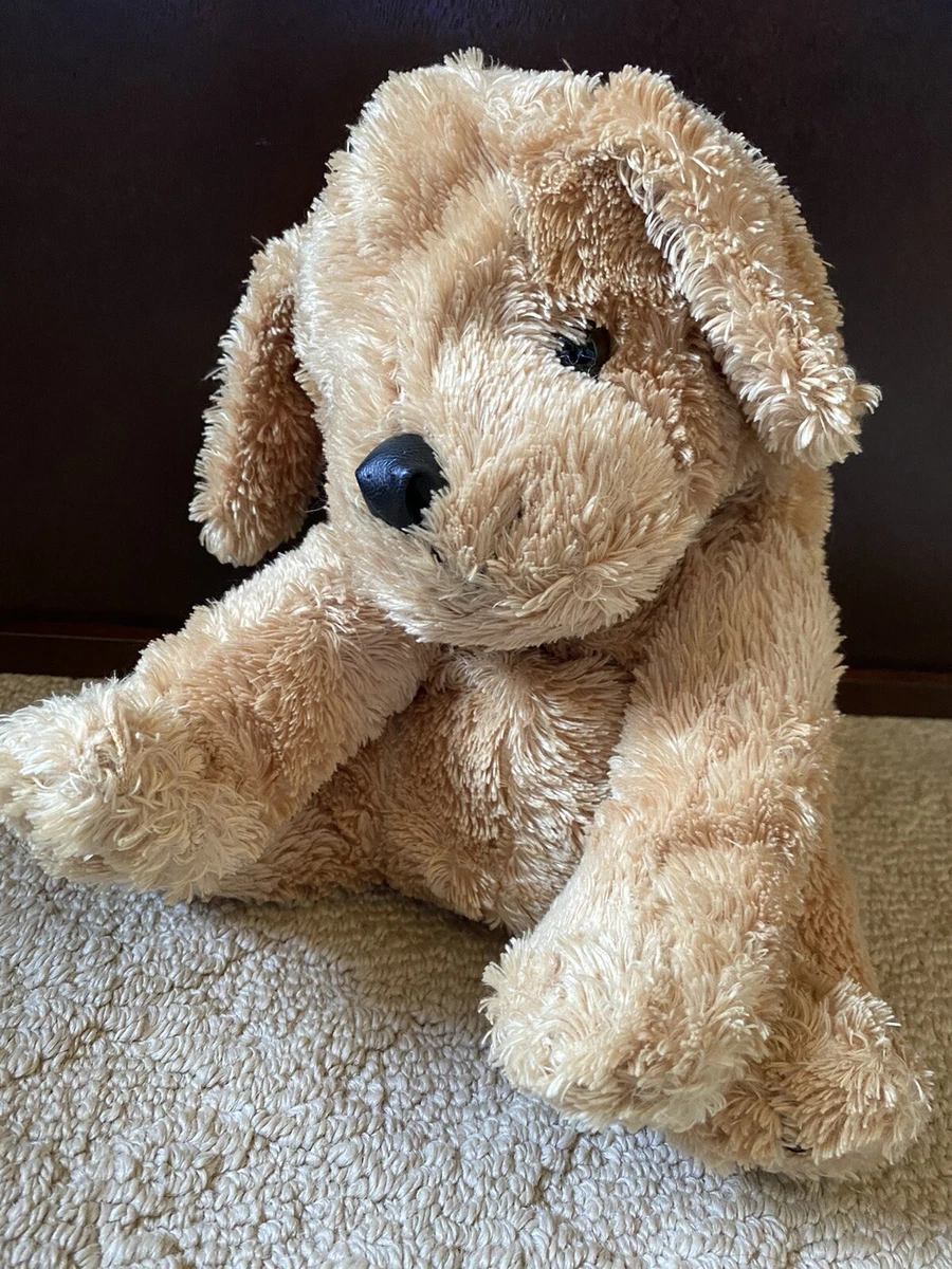 Kohls cares dog hotsell