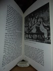 Foto 3 di 5