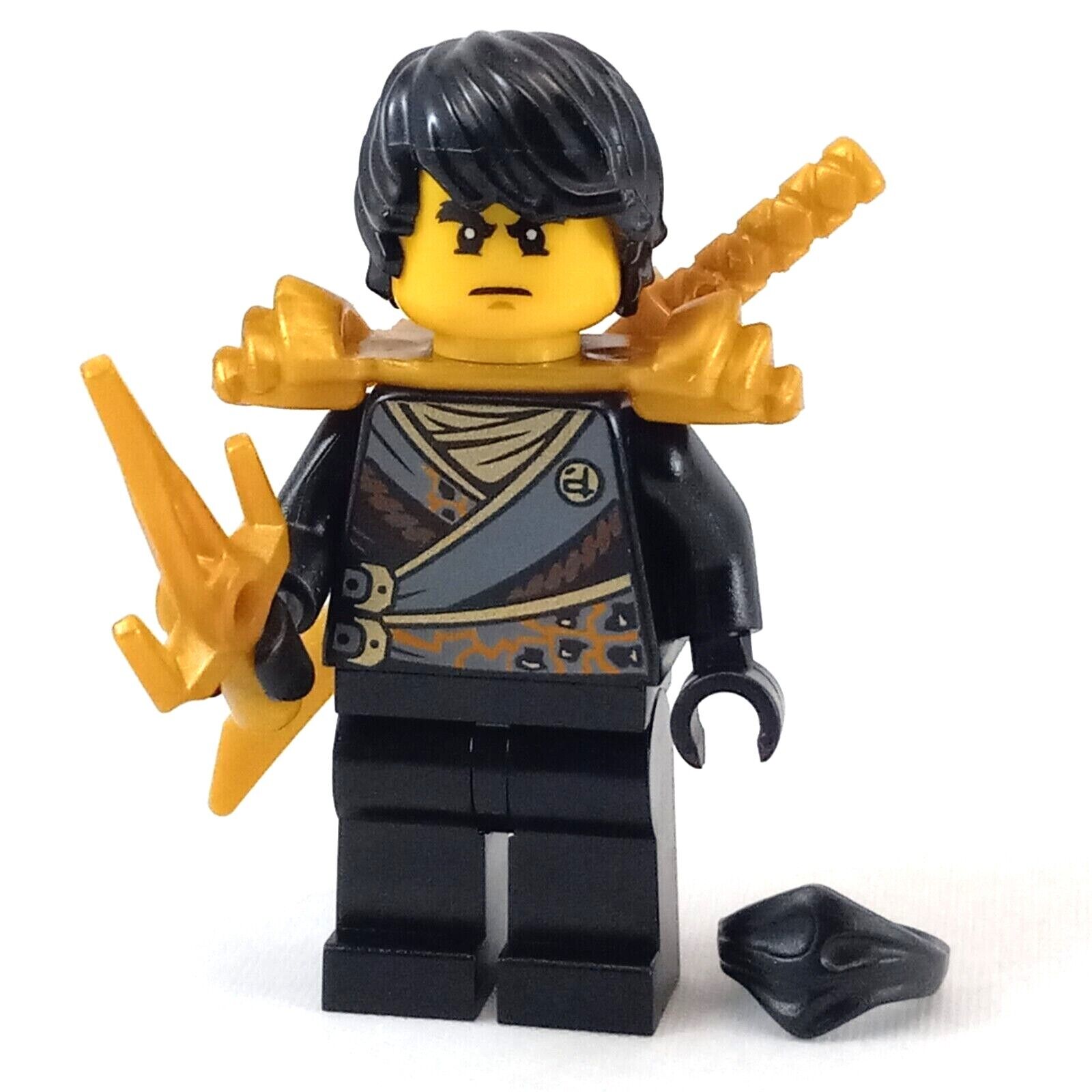 Buy LEGO® Ninjago™ Techno Robe Cole with Techno Blade - 2014 Online at  desertcartKUWAIT