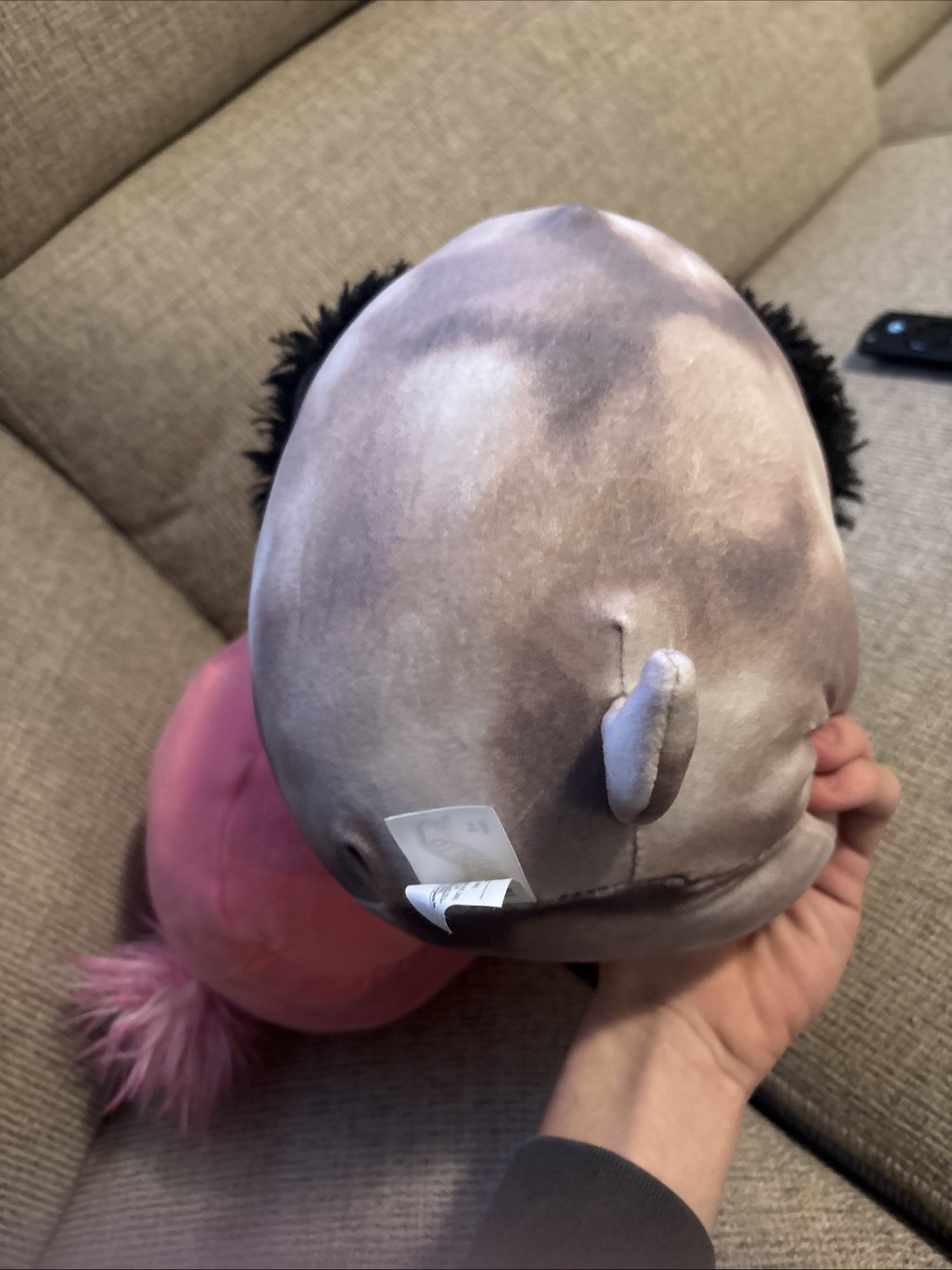 Squishmallow Kellytoy Zerdan The Dog Used No Tags 8" CM